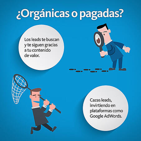lead_orga_nico_pagado-01